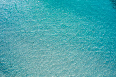 High angle view of man swimming in sea