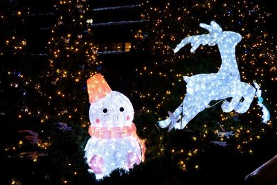 Illuminated christmas tree at night