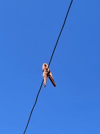 Low angle view of woman holding rope against clear blue sky