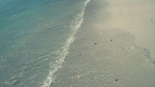 Scenic view of beach