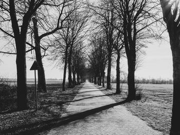 Bare trees on field against sky