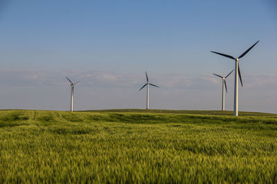 Wind turbines on field against sky during sunset