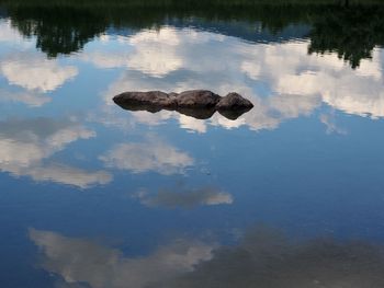 High angle view of duck swimming in lake