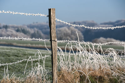 barbed wire