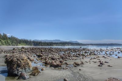 Scenic view of beach against blue sky