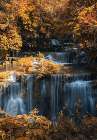 Scenic view of waterfall in forest during autumn