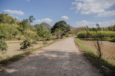 Dirt road along plants and trees against sky