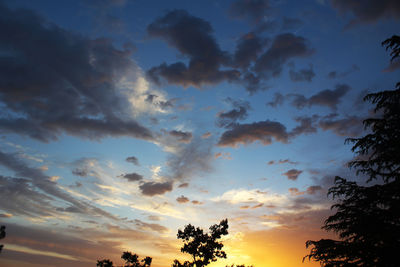 Low angle view of silhouette trees against sky during sunset