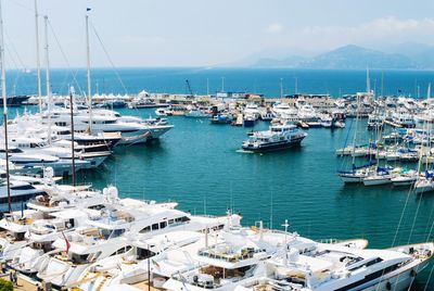 Sailboats moored in harbor