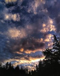 Low angle view of silhouette trees against dramatic sky