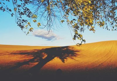 Scenic view of landscape