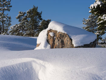 Snow covered land and trees against sky