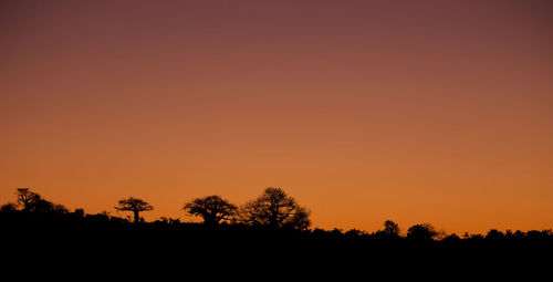 Silhouette trees on field against orange sky