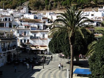 Street amidst trees and buildings in city