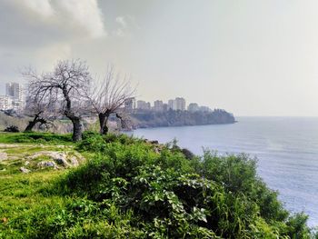 Scenic view of sea by cityscape against sky