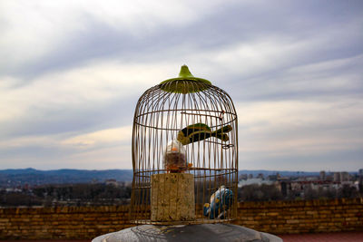 Birds in cage against sky