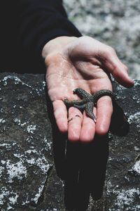 High angle view of human hand holding rock