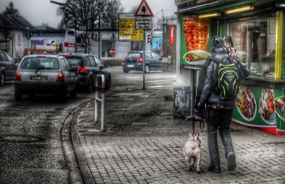 Dog walking on street in city