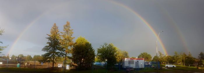 Rainbow over trees against sky