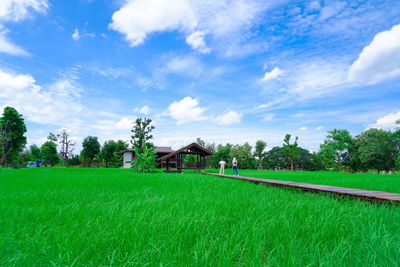 Scenic view of field against sky