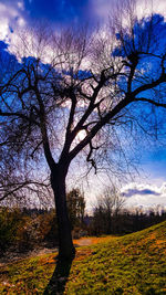 Bare trees on field against cloudy sky