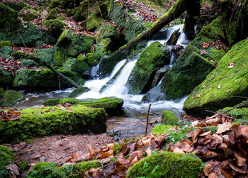 Waterfall in forest