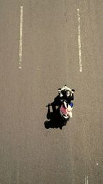 High angle view of man on road