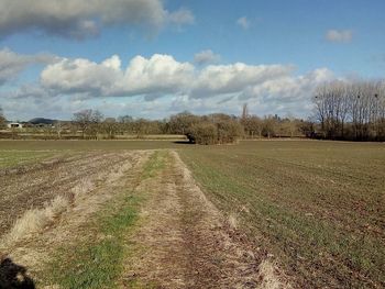 Scenic view of agricultural field against sky