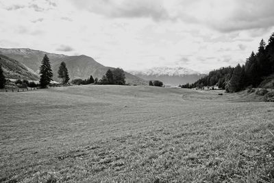 Scenic view of field against sky