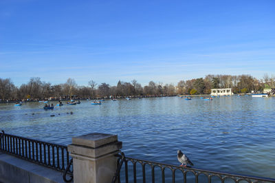 Birds perching on bridge over lake against clear blue sky