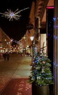 Illuminated christmas tree at night