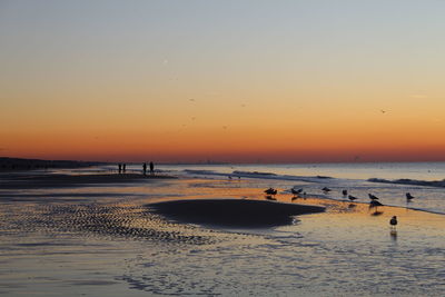 Scenic view of beach against sky during sunset