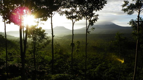 Scenic view of landscape against sky during sunset