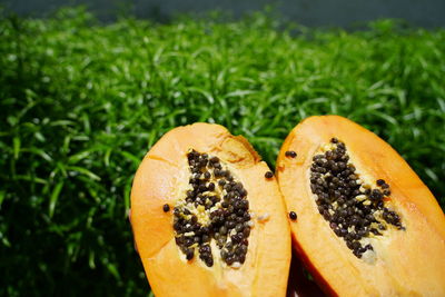 Close-up of orange fruit