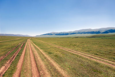 Scenic view of field against clear sky