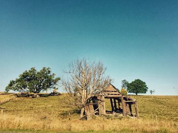Trees on field against clear sky