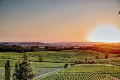 Scenic view of agricultural field against sky during sunset