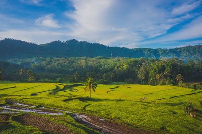 Scenic view of landscape against sky