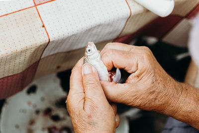 An elderly man guts fish while sitting at a table.