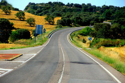 Country road along landscape and trees