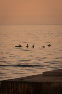 View of birds swimming in sea