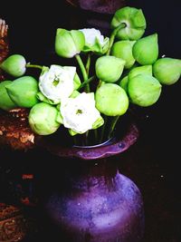Close-up of flowers