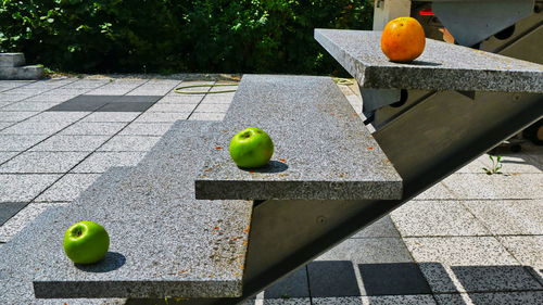 Green apples on tree