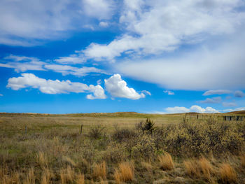 Scenic view of field against sky