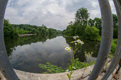 Scenic view of lake by trees against sky