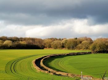 Scenic view of field against sky