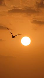 Silhouette bird flying in sky during sunset
