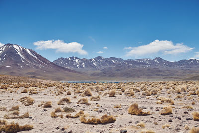 Scenic view of rocky mountains against blue sky