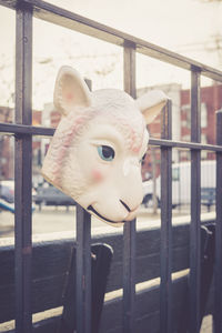 Close-up of animal mask on metal railing