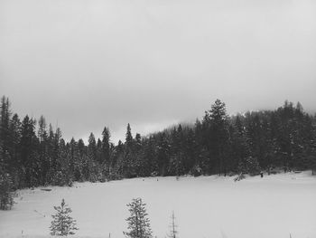 Snow covered land and trees against sky